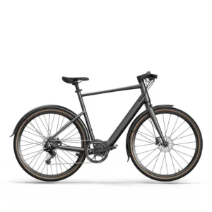 fiido c21 e gravel & city e bike 1